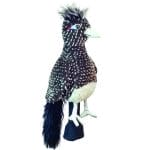 Road Runner Golf Headcover